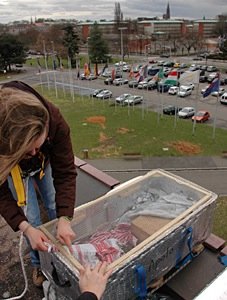 Yves Handrich et Suzel Hurstel placent les individus dans les caisses - Photo Cathy Zell