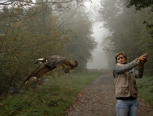 Lauriane Perraud, du centre de soins, relâche l'oiseau - Photo Cathy Zell