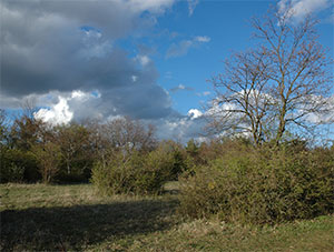 Colline du Holiesel (photo Cathy Zell)