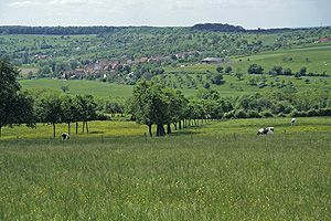 Paysage préservé en Alsace bossue - Photo Jean-Marc Bronner