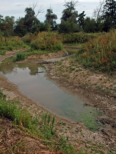 La mare créée par la commune dans le Ried de la Zorn - photo Cathy Zell