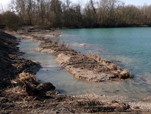 Création d'une frayère - Photo Cathy Zell