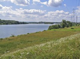 Prairie alluviale - Photo Pierre Buchert