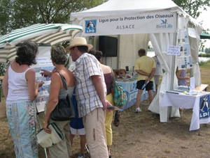 Fête du Tournant du Rhin - Photo Jean-Marc Bronner