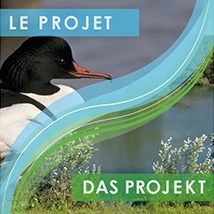 Le projet