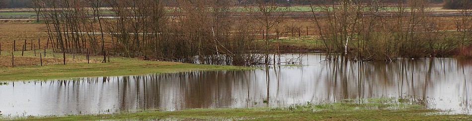 Le marais d'Aspach - Photo de Brigitte Franiatte